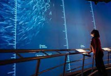 Discover the Deep at Dynamic Earth