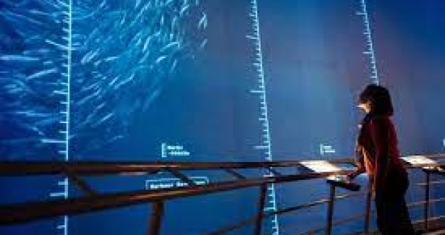Discover the Deep at Dynamic Earth